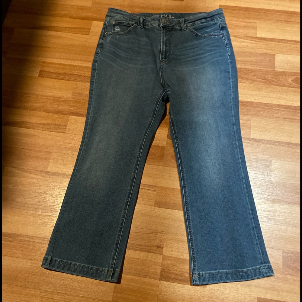 Nice details on these Time & Tru Jeans - size 14